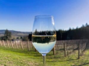 Wine Tasting @ Albany IGA